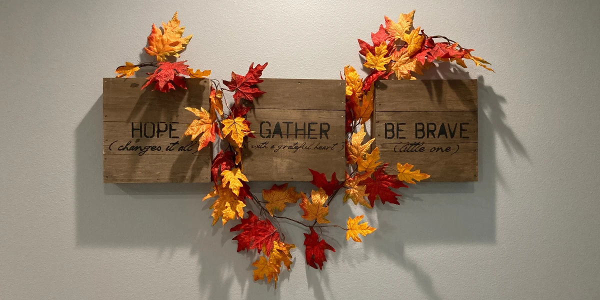 chiropractic Expertise middleton